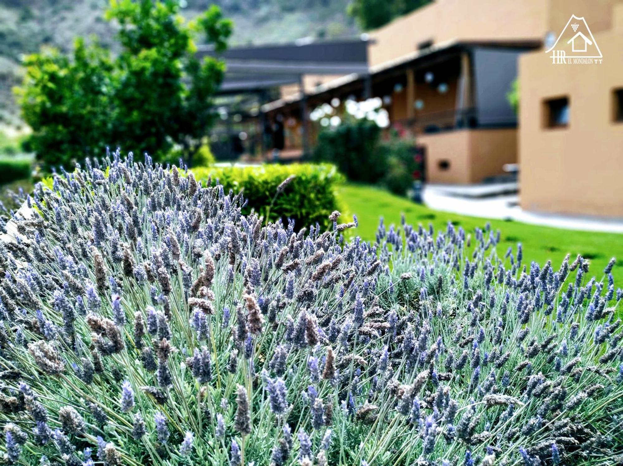 Hotel Rural El Mondalon Las Palmas de Gran Canaria Ngoại thất bức ảnh