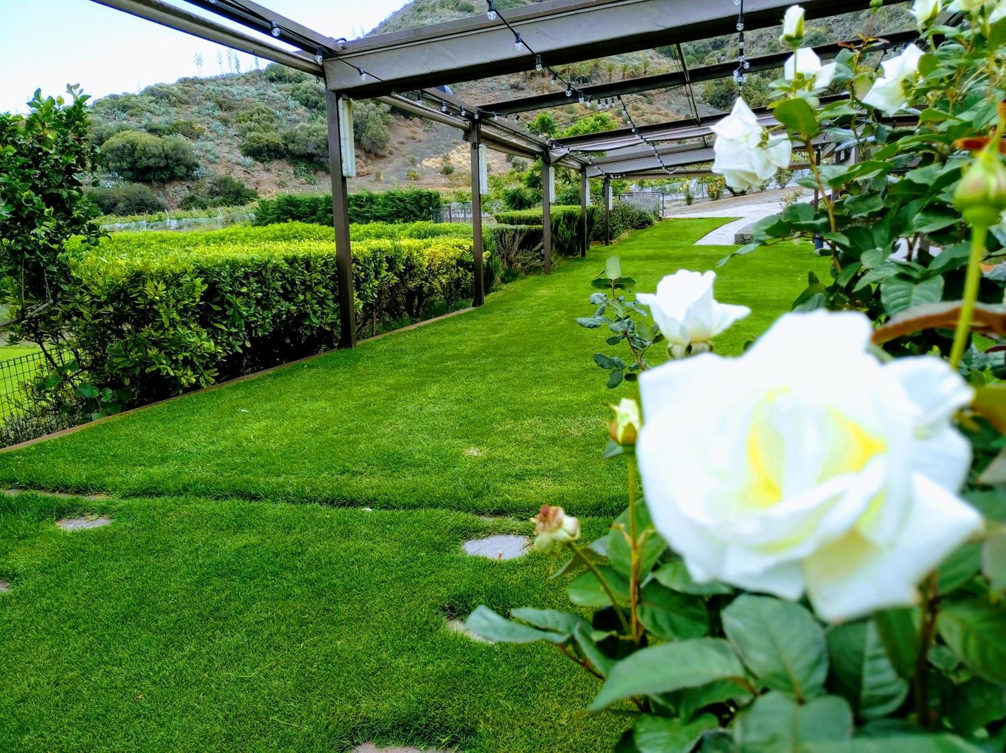 Hotel Rural El Mondalon Las Palmas de Gran Canaria Ngoại thất bức ảnh