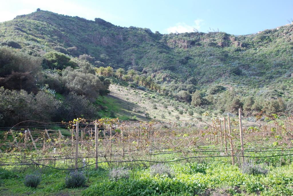 Hotel Rural El Mondalon Las Palmas de Gran Canaria Ngoại thất bức ảnh